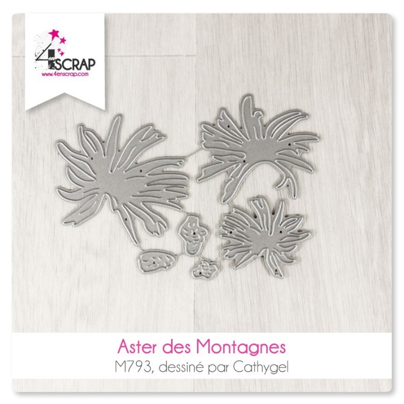 Aster des montagnes - Matrice de coupe Scrapbooking Carterie Aster des montagnes - Matrice de coupe Scrapbooking Carterie