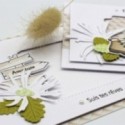 Aster des montagnes - Matrice de coupe Scrapbooking Carterie
