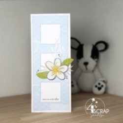 Frangipani flowers - Clear stamp Scrapbooking Card making