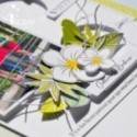 Page d'album avec des fleurs de frangipanier