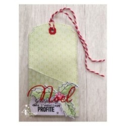 Matrice de coupe de scrapbooking pour faire des pochettes cadeau.