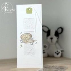Cool - Duo transparent stamps and die
