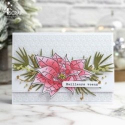 Tampon transparent de scrapbooking avec des fleurs de poinsettias, l'étoile de noël.