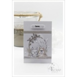 For Fun - Duo transparent stamps and die