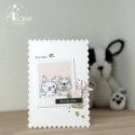Pour le Fun - Duo tampons transparents et die
