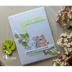 Fotografie - Clear Stamp