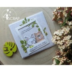 Photographie - Tampon Clear Photographie - Tampon Clear