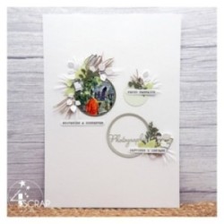 Photography - Clear Stamp