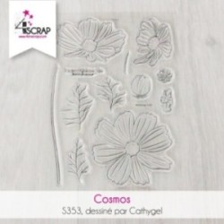 Cosmos - Tampon Clear