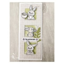 For Fun - Duo transparent stamps and die