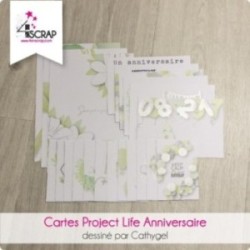 Anniversaire - Cartes Project Life